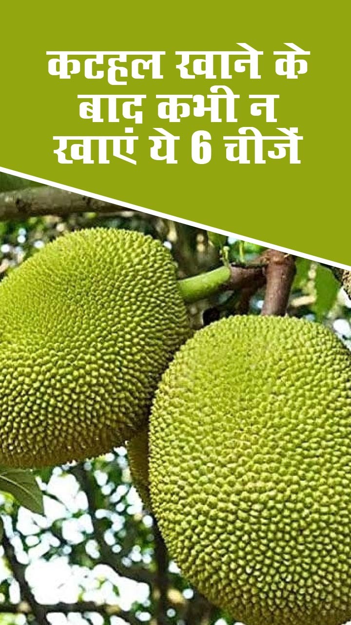 рдХрдЯрд╣рд▓ рдЦрд╛рдиреЗ рдХреЗ рдмрд╛рдж рдХрднреА рди рдЦрд╛рдПрдВ рдпреЗ 6 рдЪреАрдЬреЗрдВ