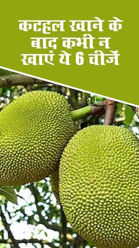 कटहल खाने के बाद कभी न खाएं ये 6 चीजें