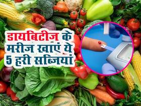 डायबिटीज के मरीज जरूर खाएं ये 5 हरी सब्जियां, ब्लड शुगर लेवल रहेगा कंट्रोल डायबिटीज के मरीज जरूर खाएं ये 5 हरी सब्जियां, ब्लड शुगर लेवल रहेगा कंट्रोल