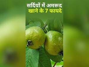 सर्दियों में अमरूद खाने के 7 जबरदस्त फायदे