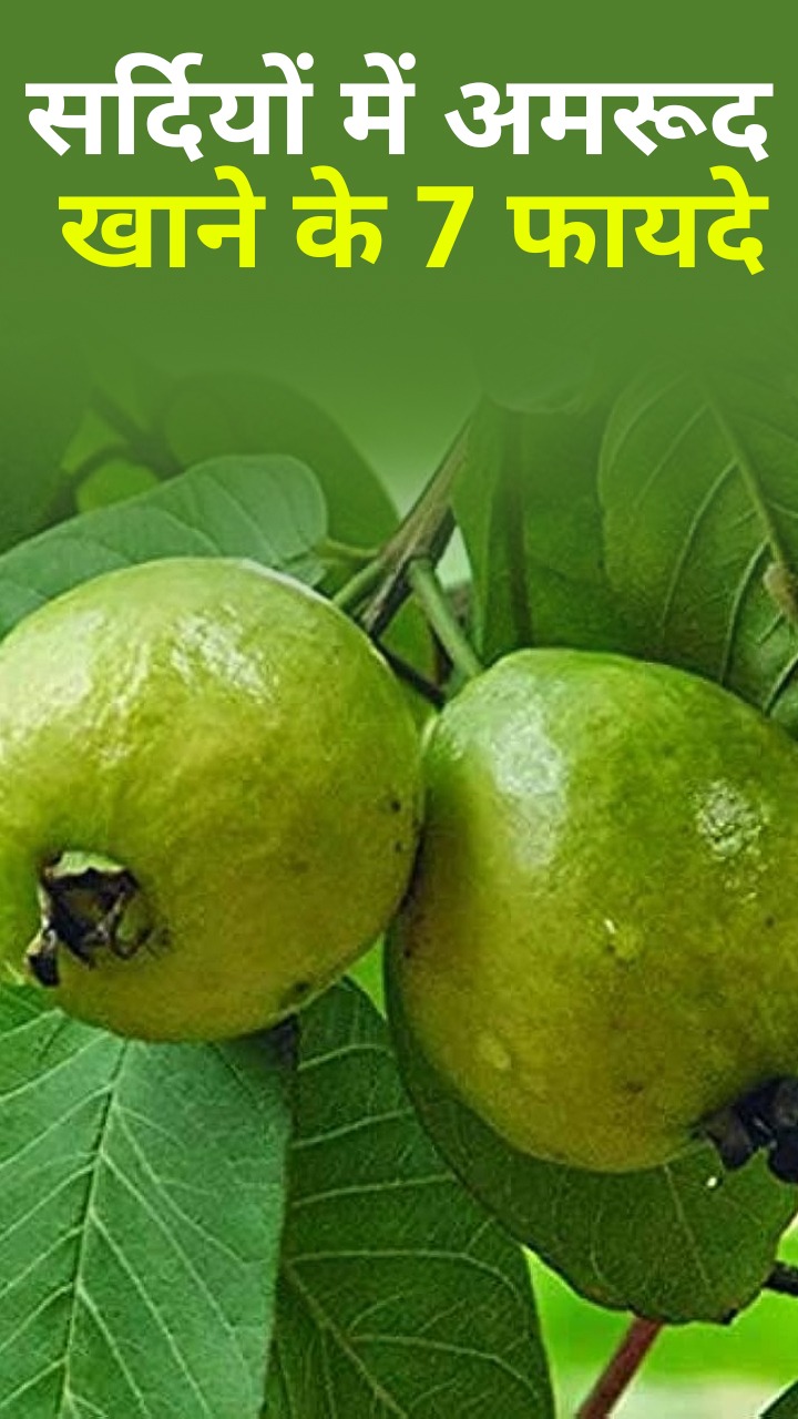 рд╕рд░реНрджрд┐рдпреЛрдВ рдореЗрдВ рдЕрдорд░реВрдж рдЦрд╛рдиреЗ рдХреЗ 7 рдЬрдмрд░рджрд╕реНрдд рдлрд╛рдпрджреЗ