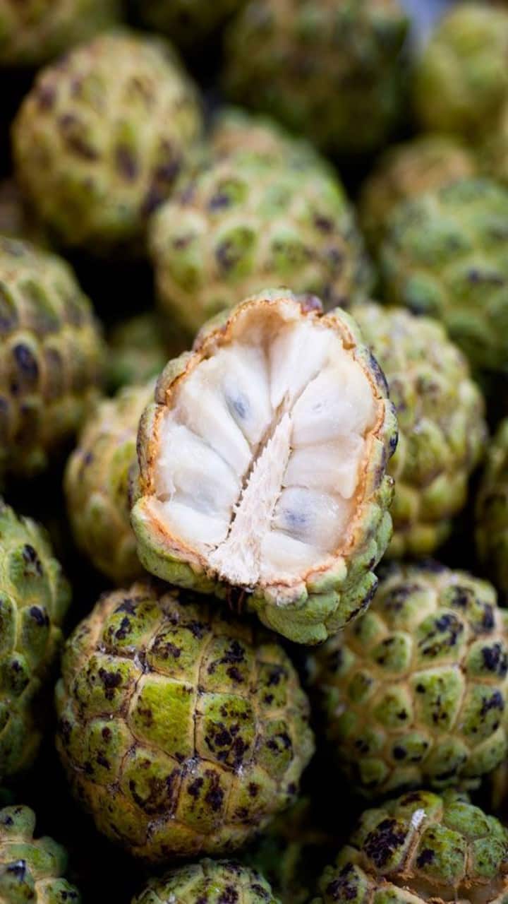 8 Health Benefits Of Eating Custard Apple 8-health-benefits-of-eating-custard-apple