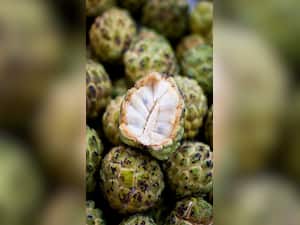 8 Health Benefits of Eating Custard Apple
