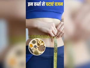 मोम की तरह चर्बी पिघला सकते हैं ये 10 हर्ब्स
