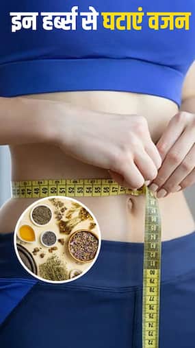 मोम की तरह चर्बी पिघला सकते हैं ये 10 हर्ब्स