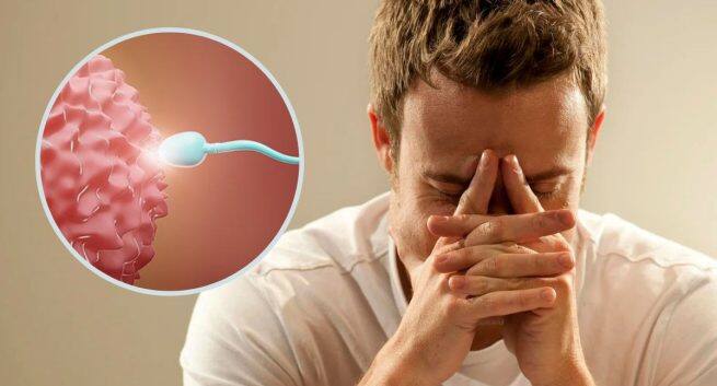 How Can Issues With Hypothalamus And Pituitary Glands Affect Male Reproductive Health?