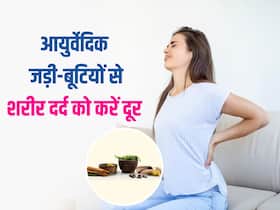 शरीर के दर्द से हैं परेशान? इन 5 आयुर्वेदिक जड़ी-बूटियों से करें इसका इलाज