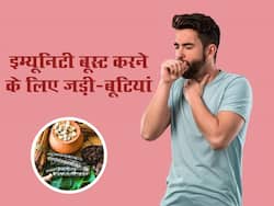 हवा मे बढ़ता प्रदूषण सेहत को नहीं कर पाएगा खराब, रोज करे इन 5 जड़ी-बूटियों का सेवन