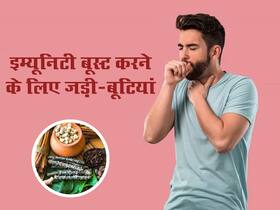 हवा मे बढ़ता प्रदूषण सेहत को नहीं कर पाएगा खराब, रोज करे इन 5 जड़ी-बूटियों का सेवन