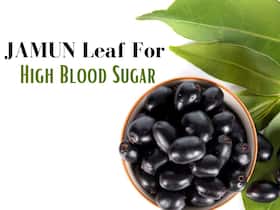 Jamun Leaf For High Blood Sugar: Chewing This Leaf Before Sleeping Can Control Diabetes Symptoms