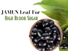 Jamun Leaf For High Blood Sugar: Chewing This Leaf Before Sleeping Can Control Diabetes Symptoms