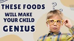 Kid's Health: You can help your child's memory by giving them these fruits