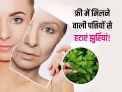 समय से पहले चेहरे पर दिखने लगा है बुढ़ापा? फ्री में मिलने वाली इन पत्तियों से झुर्रियां और पिंपल्स करें कम