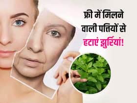 समय से पहले चेहरे पर दिखने लगा है बुढ़ापा? फ्री में मिलने वाली इन पत्तियों से झुर्रियां और पिंपल्स करें कम