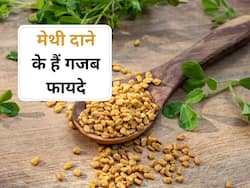 Fenugreek Seeds : एक चम्मच मेथी से करें दिन की शुरुआत, वेट लॉस के साथ डायबिटीज भी होगा कंट्रोल