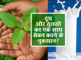 दूध के साथ भूलकर भी न चबाएं तुलसी की पत्तियां, वरना हो सकती हैं ये घातक परेशानियां