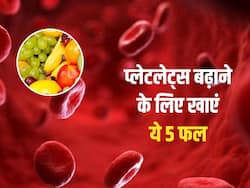 प्लेटलेट्स काउंट बढ़ाने के लिए इन 5 फलों का करें सेवन, डेंगू फीवर के लक्षणों से भी मिलेगा छुटकारा