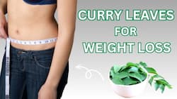 Lose Belly Fat by Eating Curry Leaf Like This