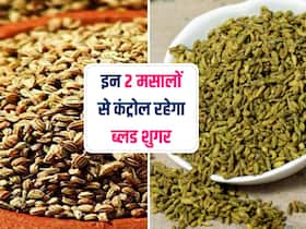 डायबिटीज के मरीज रोज सुबह खा लें ये 2 मसाले, हमेशा कंट्रोल में रहेगा ब्लड शुगर लेवल