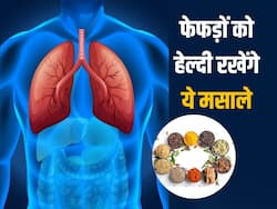 सर्दियों में फेफड़ों को स्वस्थ रखने के लिए डाइट में शामिल करें ये 5 हर्ब्स और मसाले, नहीं होगी सांस से जुड़ी समस्या