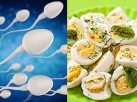 स्पर्म काउंट और क्वालिटी बढ़ाने के लिए खाएं ये 7 सुपरफूड्स