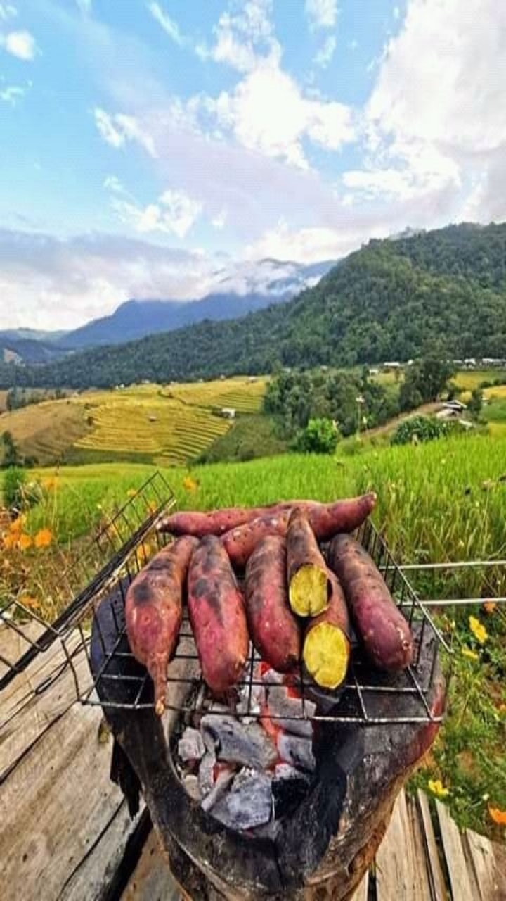 7 Health Benefits of Sweet Potatoes