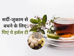 सर्दियों में तुलसी और अदरक की चाय पीने से दूर रहेंगी कई बीमारियां, जानें बनाने का तरीका