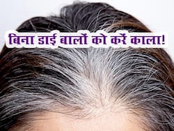 बिना हेयर डाई के इन 3 असरदार नुस्खों से सफेद बालों को करें काला, आएगा नैचुरल निखार