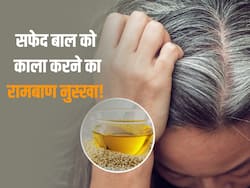 सफेद बालों को काला करने के लिए तिल के तेल में मिलाकर लगाएं ये 1 चीज, सभी पूछेंगे घने और सॉफ्ट बालों का राज