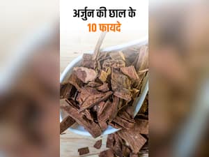 रोज सुबह पीएं अर्जुन की छाल का काढ़ा, सेहत को होंंगे ये 10 लाभ