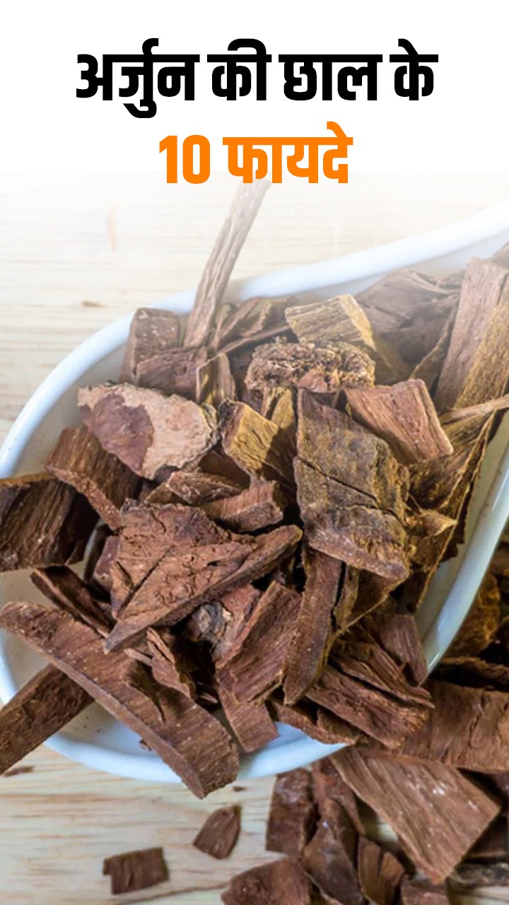 रोज सुबह पीएं अर्जुन की छाल का काढ़ा, सेहत को होंंगे ये 10 लाभ