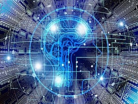 How Your Brain Signals Influence What You Remember? How Your Brain Signals Influence What You Remember?