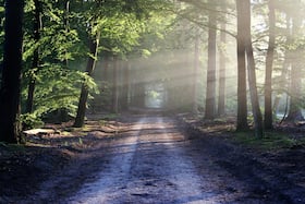 World Nature Day: Harness The Power Of Open-Air Weather For Your Health