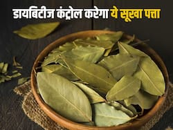 डायबिटीज से हैं परेशान, तो रोज करें इस सूखे पत्ते का सेवन तेजी से कंट्रोल होगा शुगर लेवल