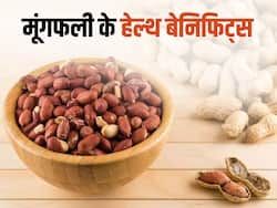 Peanuts Benefits: सेहत का खजाना है मूंगफली, सर्दियों में खाने से मिलते हैं कई लाभ, जानिए किन लोगों को नहीं करना चाहिए इसका सेवन