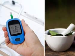 डायबिटीज के लिए अचूक उपाय हैं ये 5 जड़ी-बूटियां, ब्लड शुगर को रखती हैं कंट्रोल