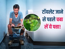 लंबे समय से कब्ज से परेशान हैं तो सुबह टॉयलेट जाने से पहले ही चबा लें ये पत्ता, जाते ही हो जाएगा पेट साफ