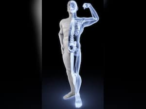 हड्डियों और जोड़ों के दर्द को दूर करने आयुर्वेदिक जड़ी-बूटियां