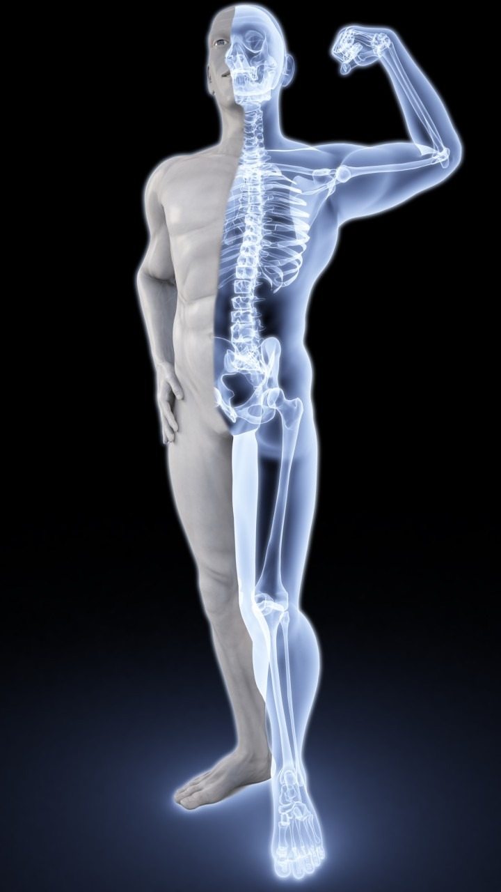 हड्डियों और जोड़ों के दर्द को दूर करने आयुर्वेदिक जड़ी-बूटियां