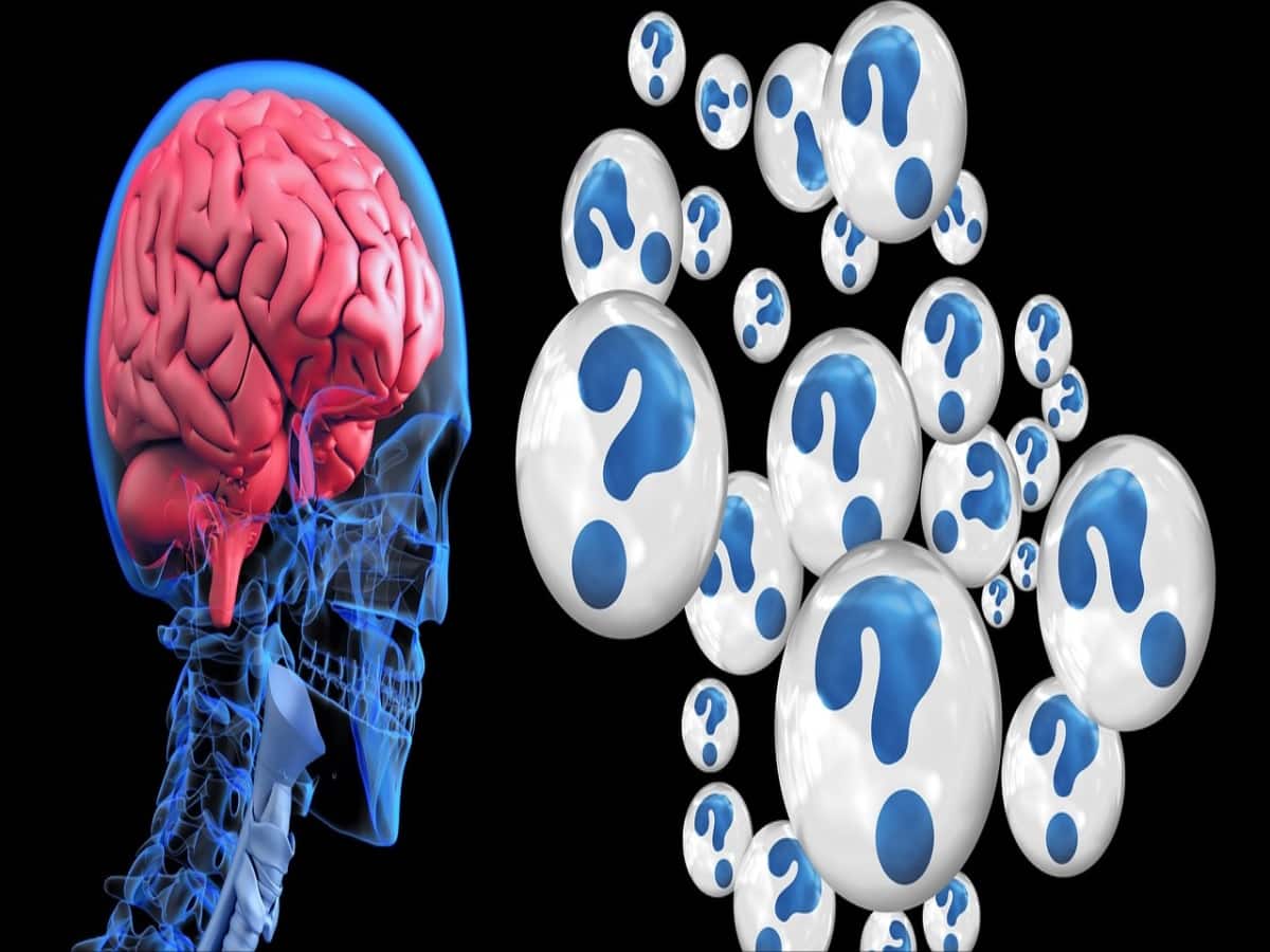 Functional Neurology: Why Screen Time Causes Brain Fog