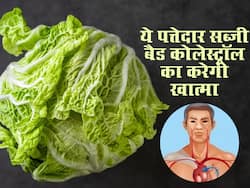 Bad cholesterol की दुश्मन है ये खास पत्तेदार सब्जी, एलडीएल धमनियों में जमा होने की बजाय निकलेगा टॉयलेट में