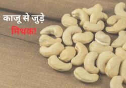 क्या काजू खाना सेहत के लिए फायदेमंद है? आइए जानते हैं क्या है विशेषज्ञ