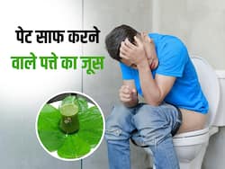 महीनों से कब्ज से परेशान और दवाएं भी हो चुकी फेल? खाली पेट पिएंगे इस पत्ते का जूस तो उठते ही होगा पेट साफ
