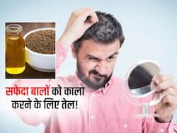 जवानी में सफेद बालों से परेशान, बाल काले करने के लिए ट्राई करें ये आयुर्वेदिक तेल