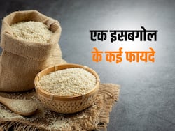 शरीर के इन 4 अंगों को हेल्दी रखेगा इसबगोल, सही करेंगे इस्तेमाल तो दूर होंगी इससे जुड़ी कई बीमारियां