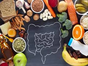 Can Prebiotics Change The Way You Crave Food?