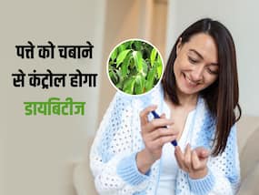 रात को चबाकर सो जाएं इस पेड़ का पत्ता सुबह कंट्रोल मिलेगा ब्लड शुगर, डायबिटीज का दुश्मन है घर के पास लगा ये पेड़