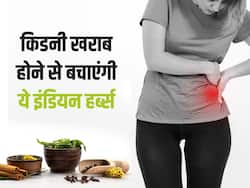 किडनी फेल्योर नहीं होने देंगी ये 5 आयुर्वेदिक जड़ी बूटियां, सही इस्तेमाल से टल जाएगा डायलिसिस का खतरा
