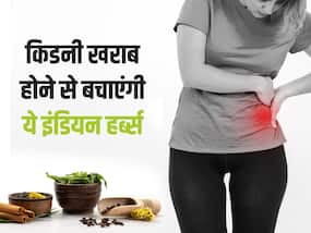 किडनी फेल्योर नहीं होने देंगी ये 5 आयुर्वेदिक जड़ी बूटियां, सही इस्तेमाल से टल जाएगा डायलिसिस का खतरा