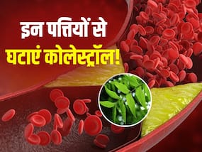 1 सप्ताह में कोलेस्ट्रॉल घटाने के लिए रोजाना खाली पेट चबाएं ये पत्तियां, हार्ट अटैक का खतरा भी रहेगा दूर